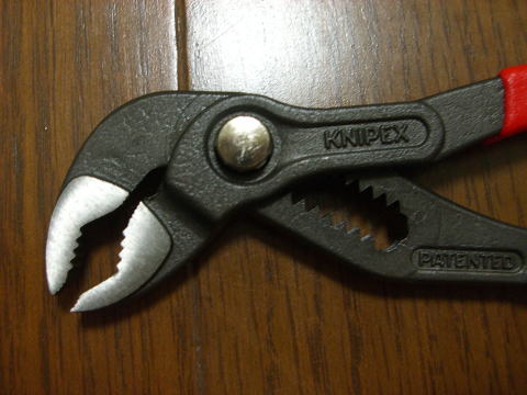 �R�u���̃w�b�h��