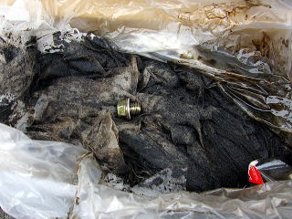 �h�����{���g�����o��