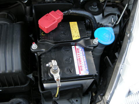 �o�b�e����T���܂��傤�B