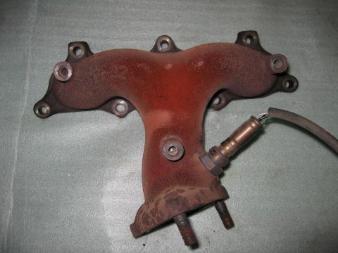 ����ɎK�т��G�L�]�[�X�g�}�j�z�[���h