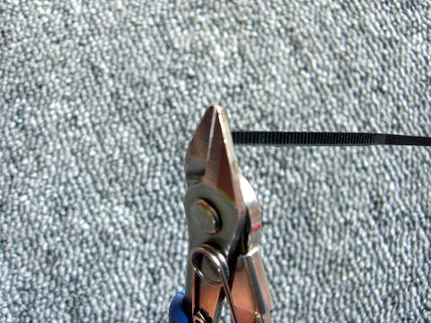 �؂����Ă���������͂�ŗ����Ȃ��I