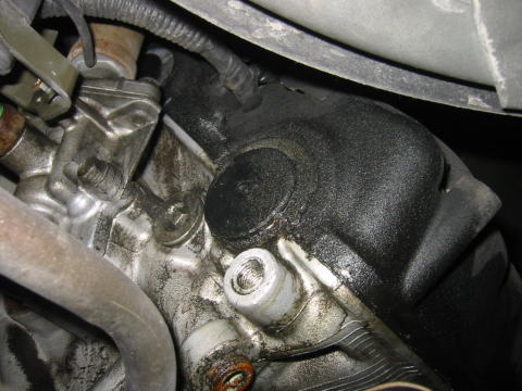 �w�b�h�J�o�[�p�b�L���͘R��₷���I