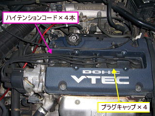 �v���O�L���b�v