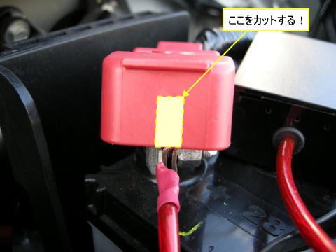 �[�q�̓��������܂��傤�B