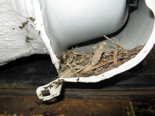 �C���i�[�t�F���_�[���߂���Ɓc