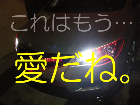 �����ł��A���ł��B