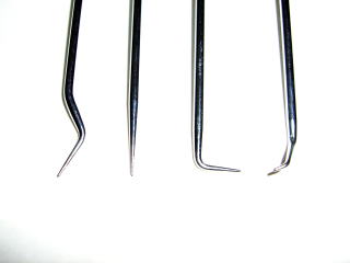 �s�b�N�c�[���̐�[�A�b�v�ʐ^�ł��B