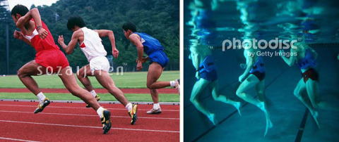 ���������S�x�ł��B