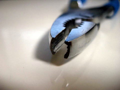 ��[�`�󂪉���I�I