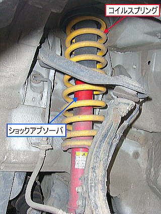 �_���p�[�̗�