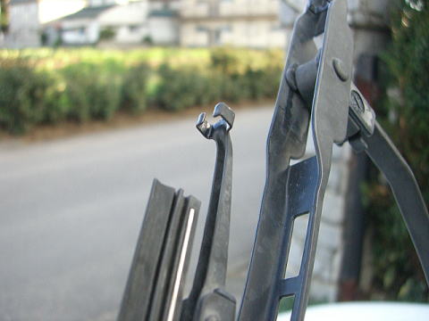 ������J�ɁI